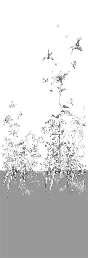 Tapete Lièvres/Fenouil/Tournesol - Gris - Tournesol Droit - Gris