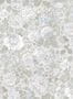 16296_02_Jannelli_&_Volpi_Grande_Rose_7221-148245