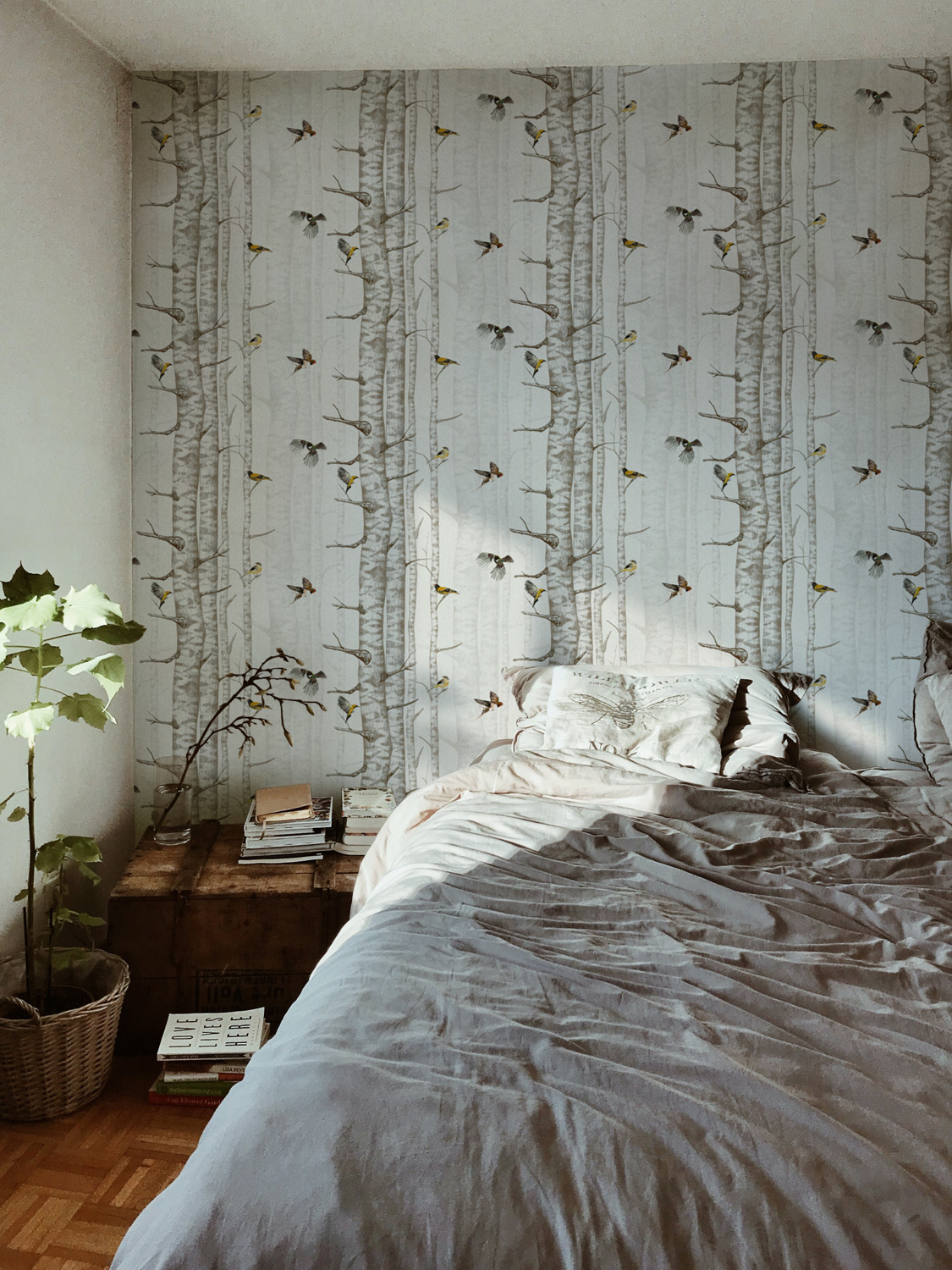 Tapete Birch Trees - Beige