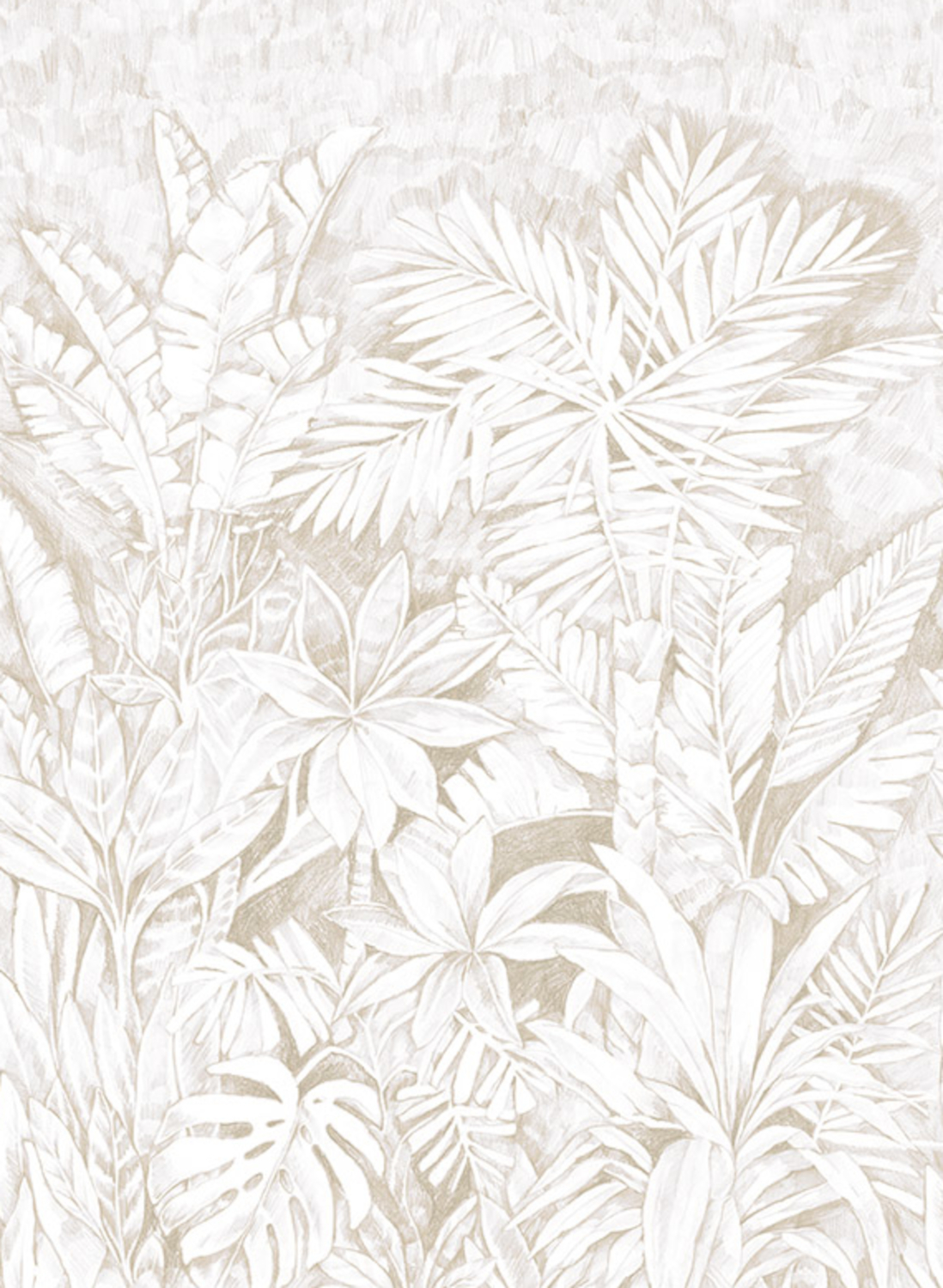 Wandbild Daintree - 41340