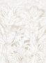 17591_01_Jannelli_and_Volpi_Daintree_41340-154732