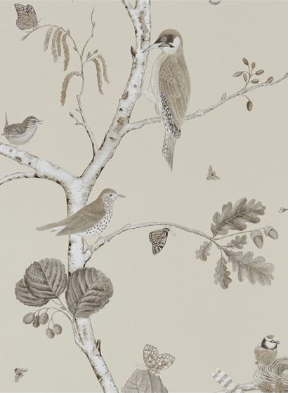 Tapete Woodland Chorus - Sepia/ Neutral