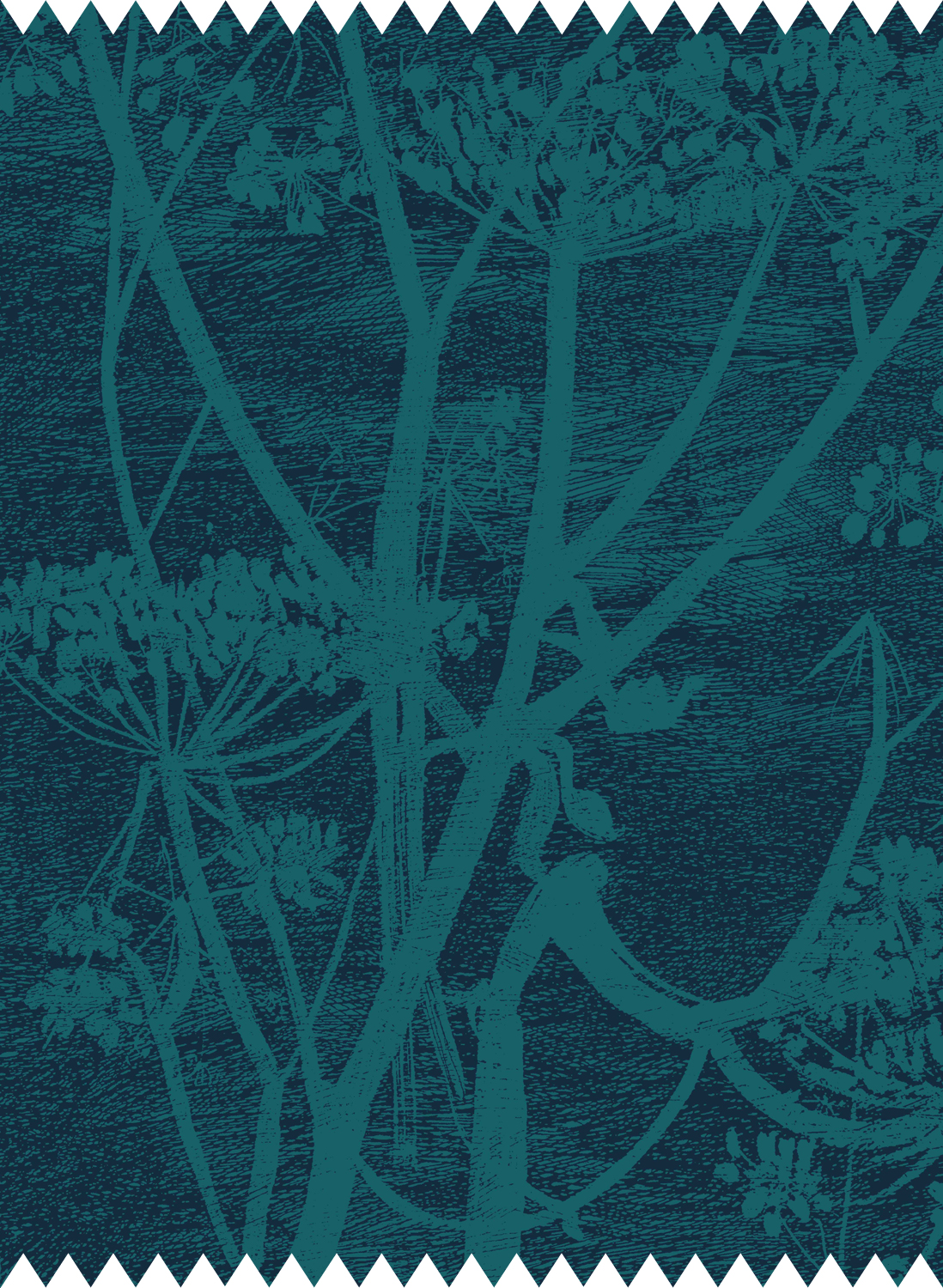 Stoff Cow Parsley Velvet - Petrol & Ink