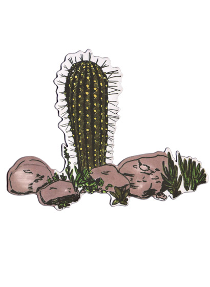 Magnet Cactus
