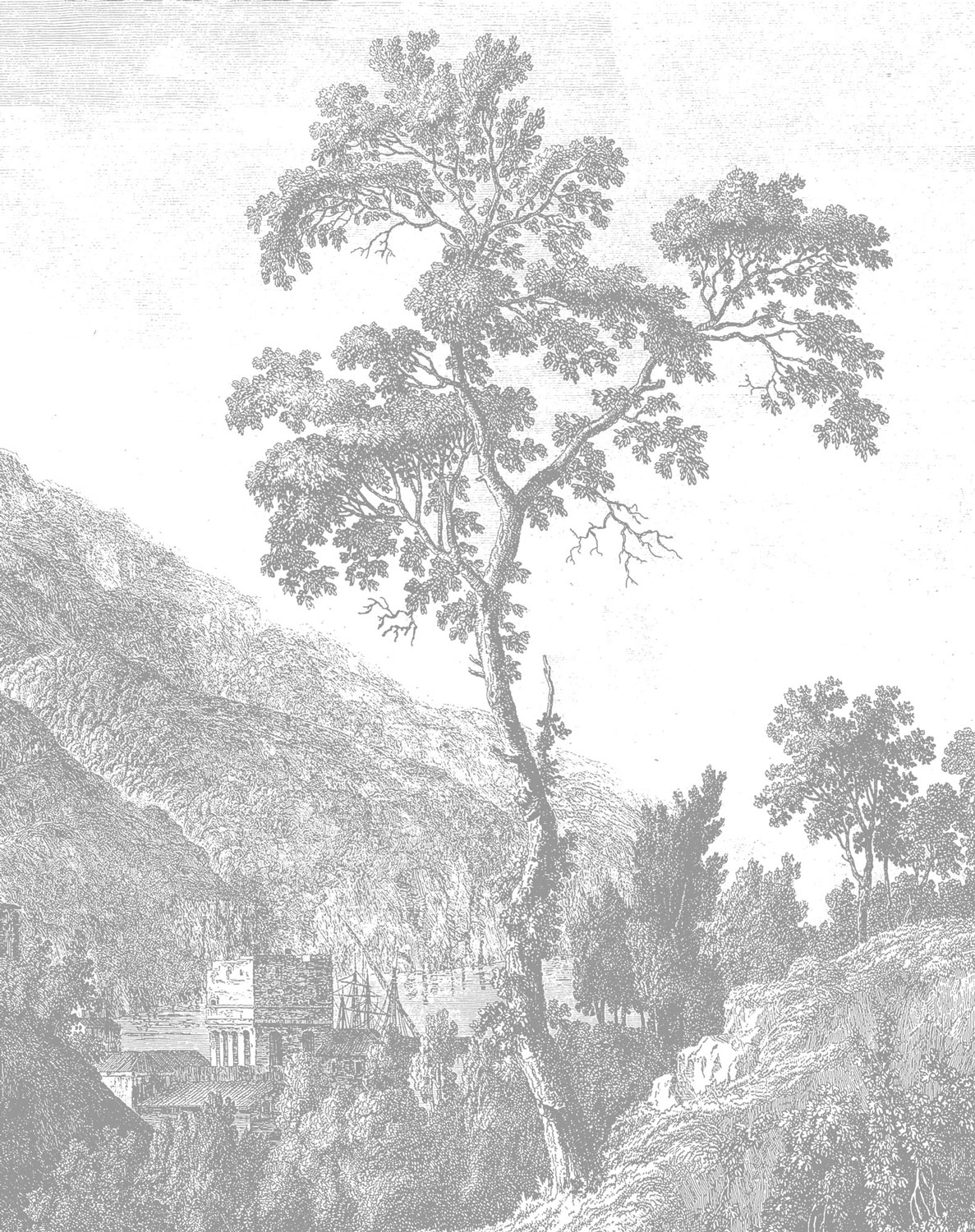 Carta da parati panoramica Engraved Landscapes 1 - XS