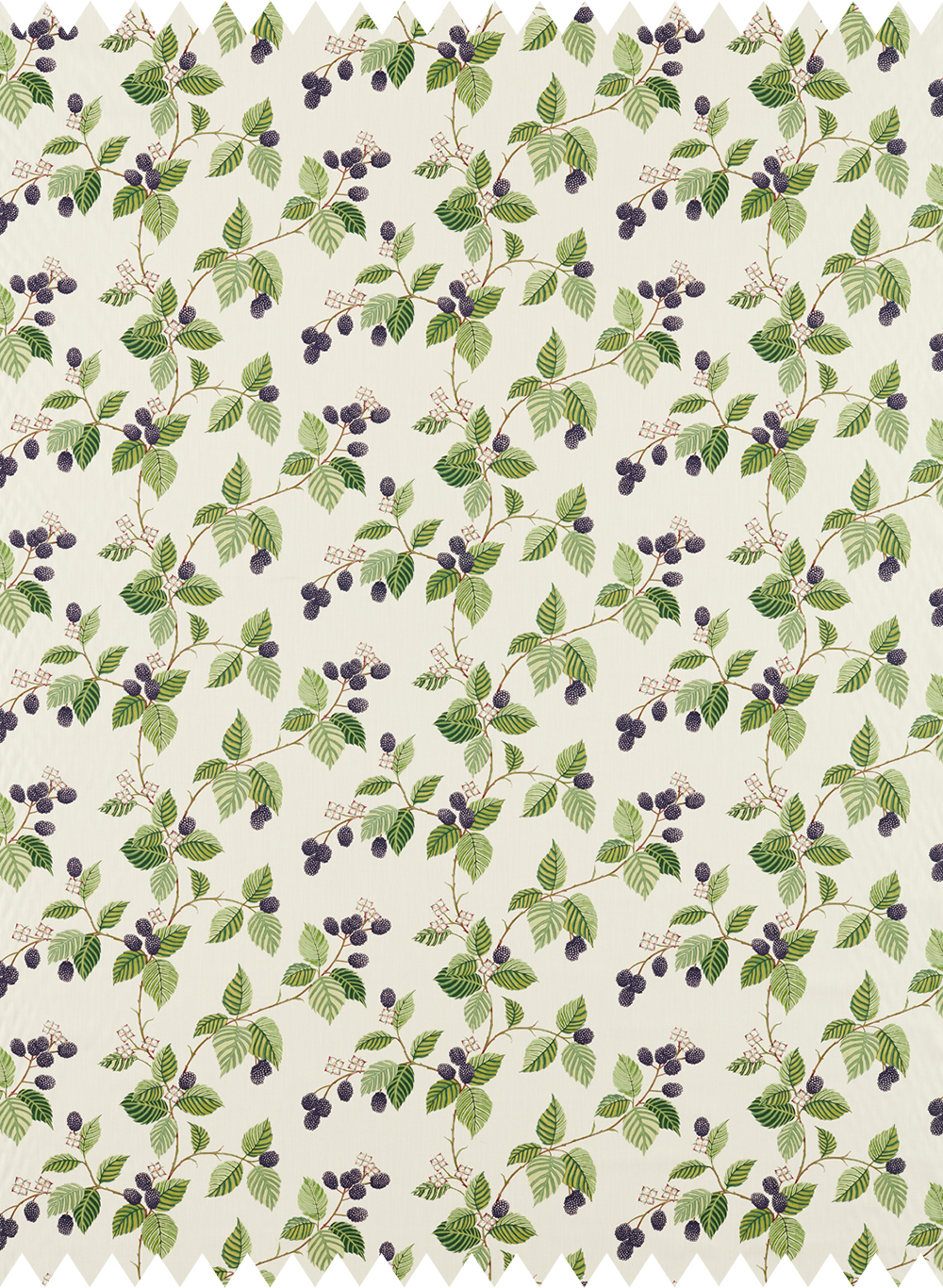 Stoff Rubus - Blackberry