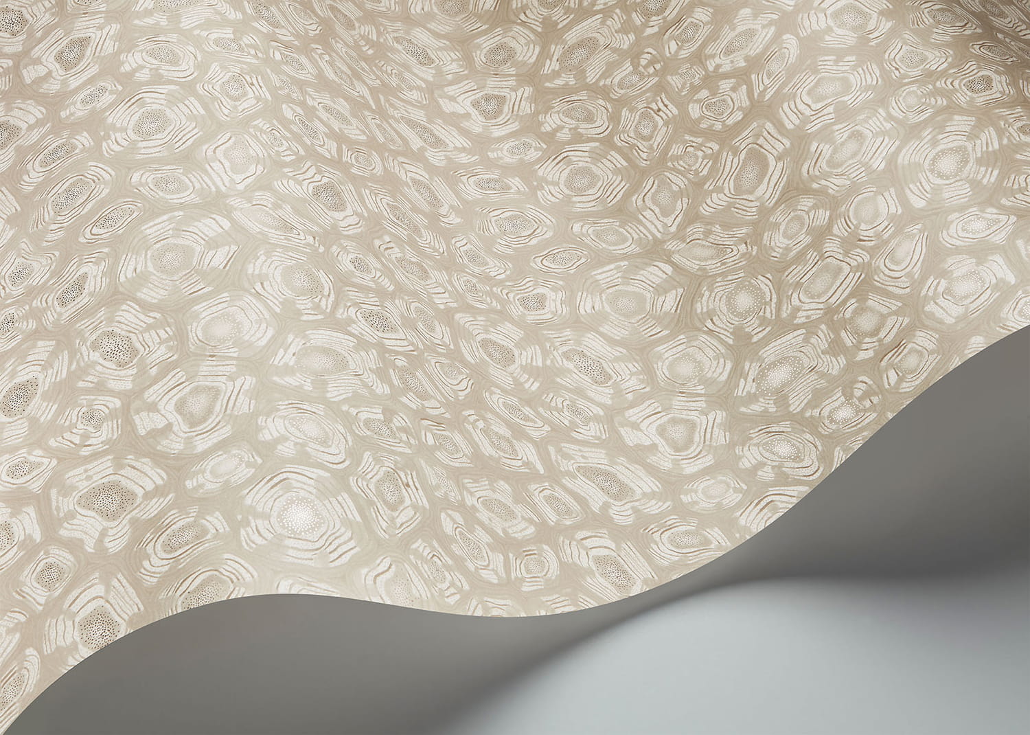 Tapete Savanna Shell - 119/4021