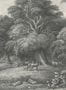 2921_2_rebel_walls_jungle_land_vintage_r14611-27458