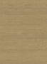8604_17_Arte_Latus_50515-160878