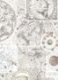 17954_02_Boråstapeter_Vintage_Star_Map_9550W-176717