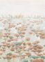 9259_2_Sian-Zeng_Classic-Swan-Lake_Terracotta_SwanTerracotta-79718
