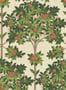 5699_1_cole-and-son_orange-blossom_117-1001-59175