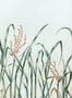 6906_3_Nobilis_Hors-Champs_PAN132-88051
