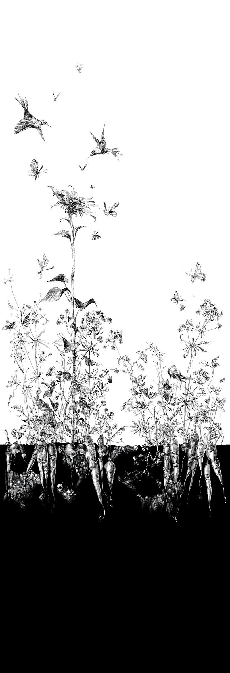 Tapete Lièvres/Fenouil/Tournesol - Blanc et Noi - Tournesol Gauche - Blanc et Noir