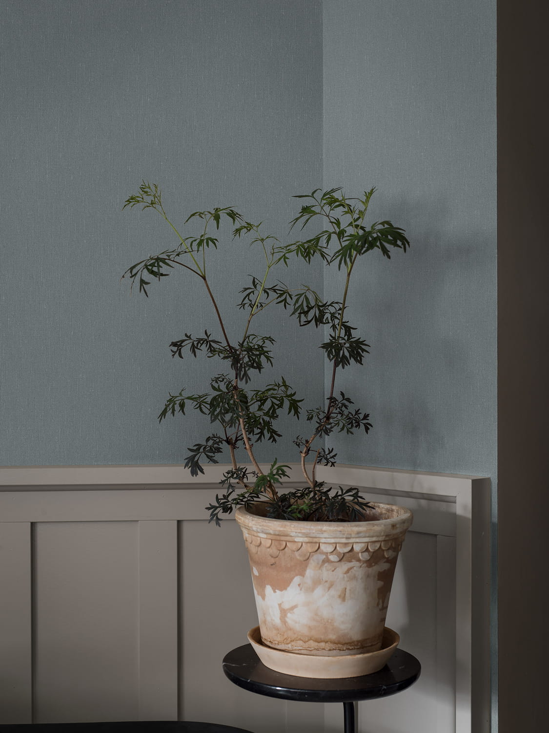 Tapete Linen - Dusty Denim