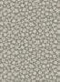6673_3_Boras_Skogsblomst_3268-80293