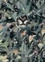 8501_4_Coordonne_Tapete_Hidden_Puma_9500013-70112