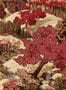 14696_1_Coordonne_Yu_Garden_B00145N-116959