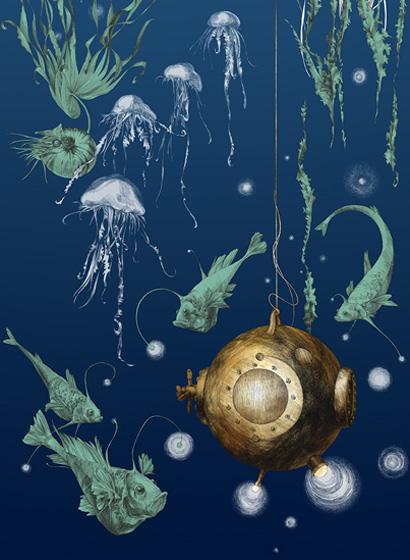 Tapete Nautilus/Méduses/Nénuphars - Marine - Nautilus droit - Marine