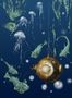 4471_1_edmond-petit_nautilus-droit_marine_rm109-03-53789