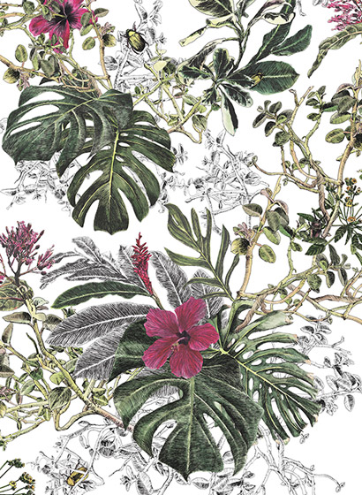 Tapete Summer Tropical Bloom - Tropical Bloom