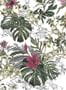 2025_1_sian_zeng_summer_tropical_bloom-23887