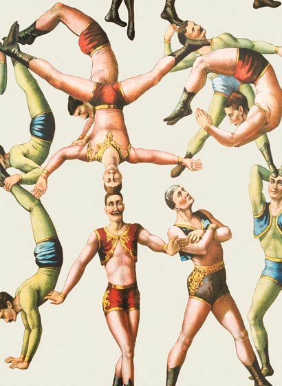 Tapete The Acrobats - WP20005