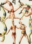 3155_1_mindthegap_the-acrobats_wp20005-28566