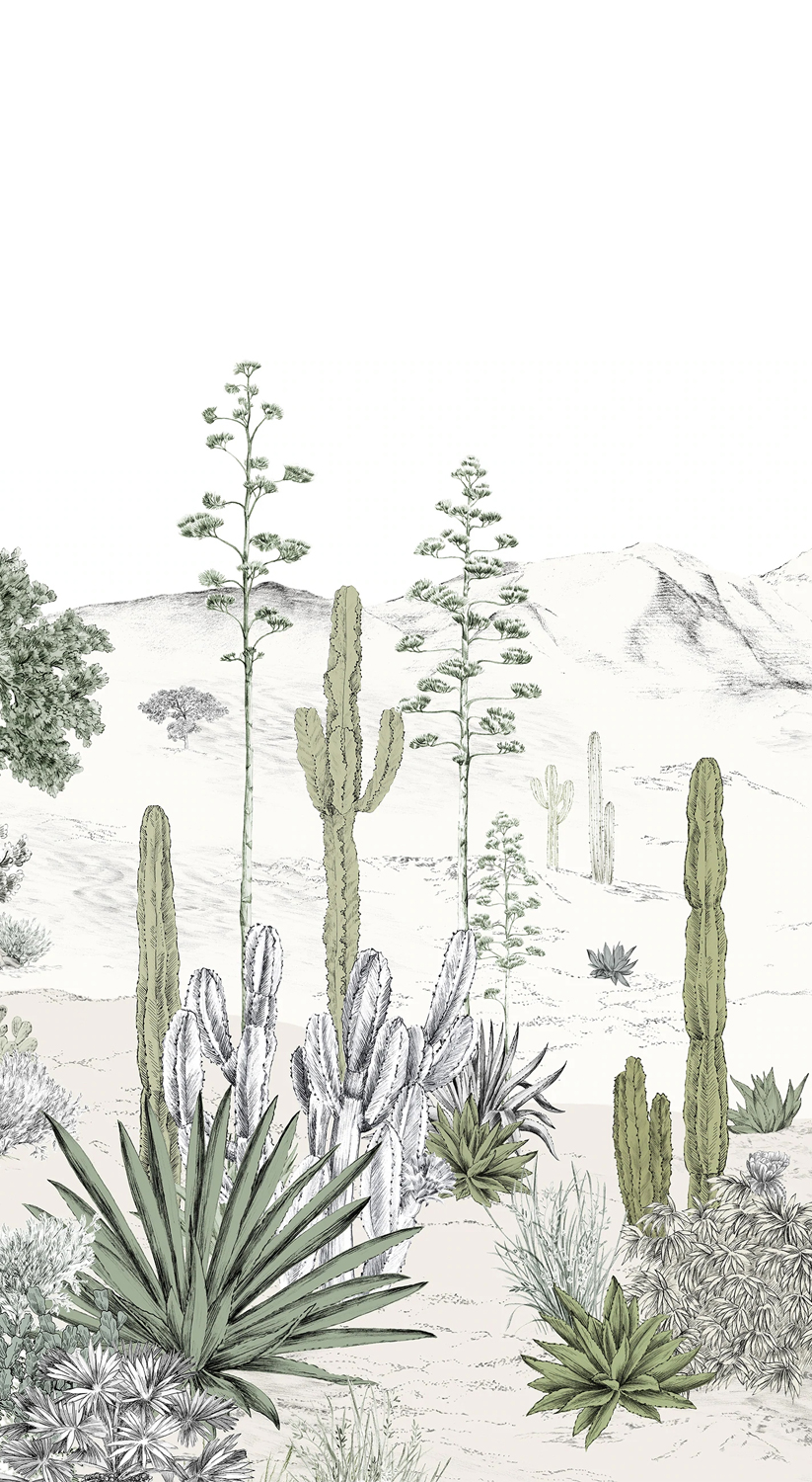Wandbild Succulentes Naturel - Panel B