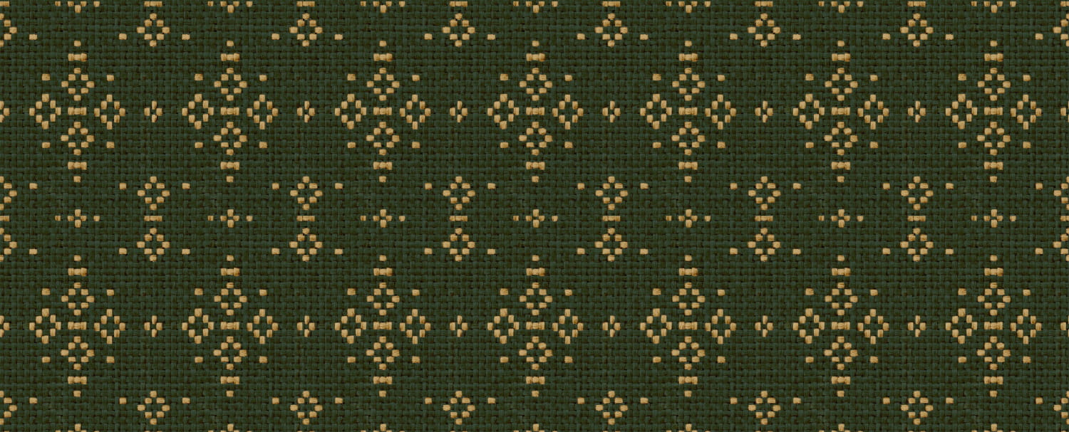 Tapete Mazahua - Cactus