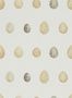 3676_1_sanderson_nest-egg_216505-30325