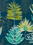 3864_2_harlequin_yasuni_111761-30843