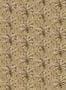 16632_04_Cole_and_Son_Afrika_Damask_129-5020-180345