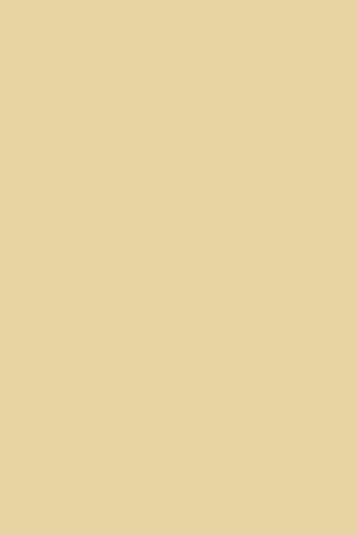 Pot échantillon Farrow & Ball - String 8 - 0,1l