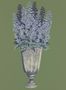 9650_1_Langelid_von-Brömssen_Delphinium_27-65-98670