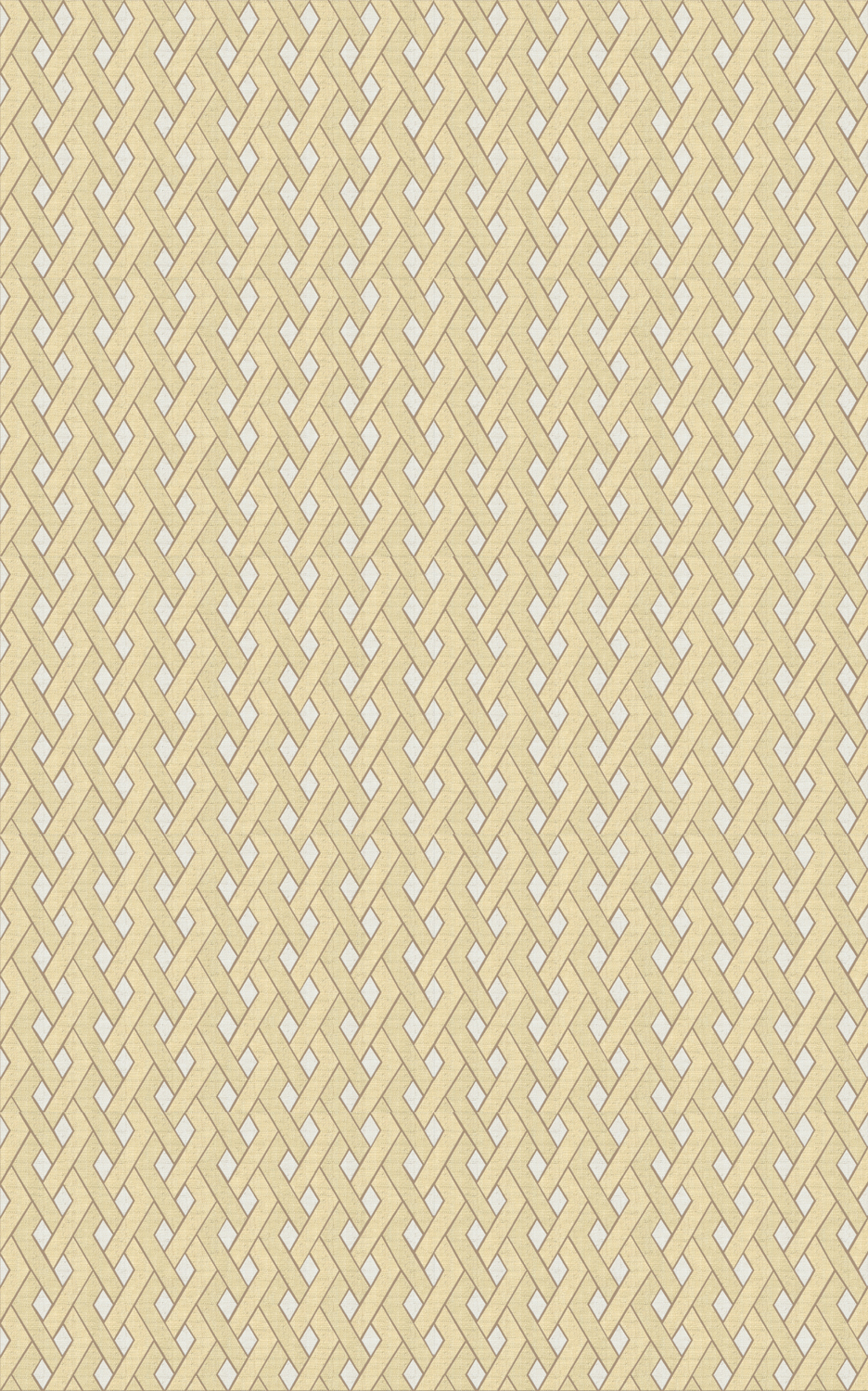 Tapete Entrelazados - RM 1019 01