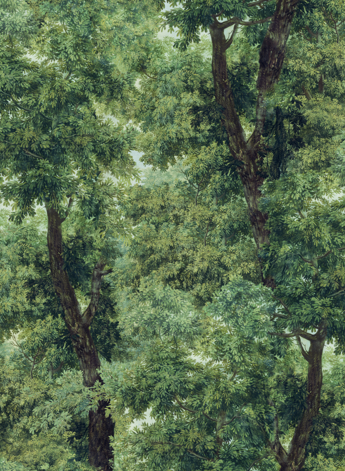 Tapete Branchy - Green/ Taupe