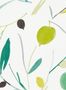 4281_2_scion_oxalis_111994-32516