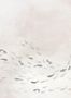 9153_1_Coordonne_Koi_6800723-75361