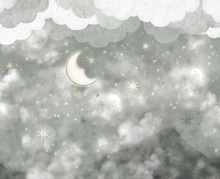 Mural Stars in the Sky - 9448W
