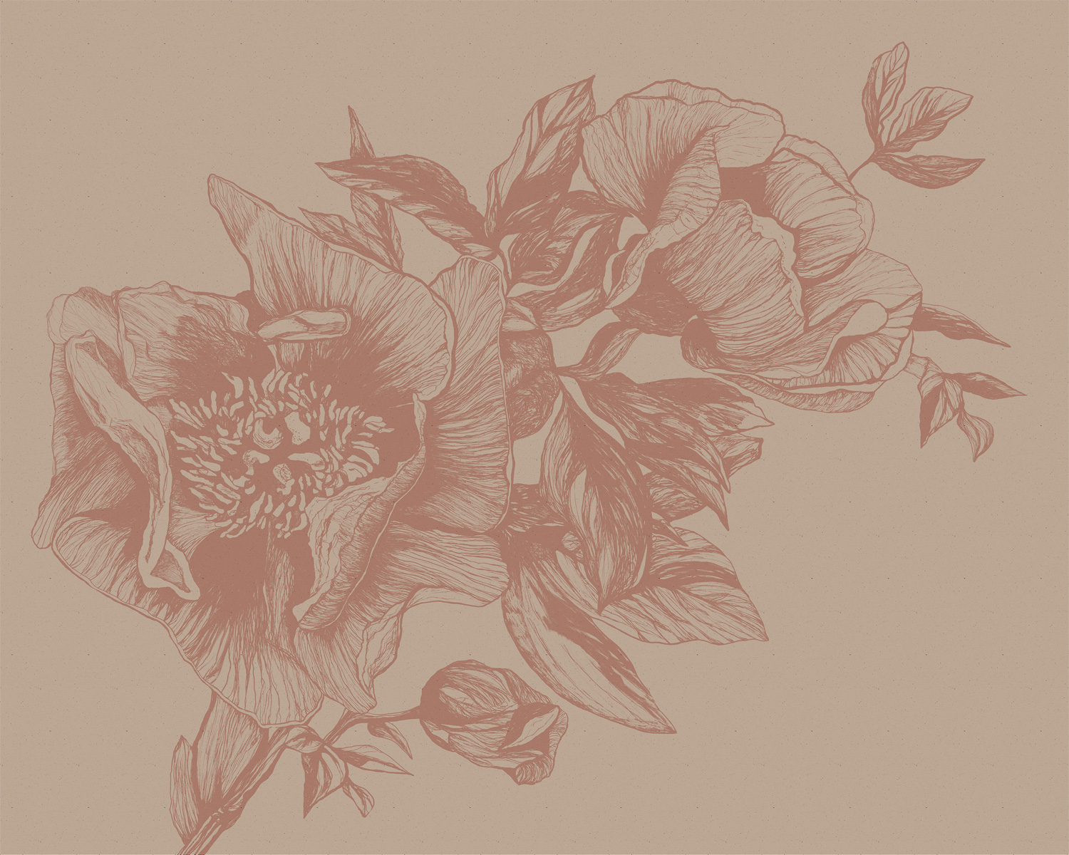 Wandbild Giant Peonies - Nude