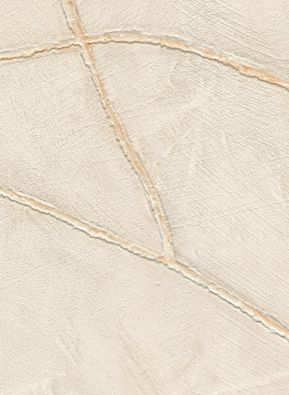 Tapete Kintsugi - VP 1004 81