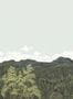 15044_1_Nobilis_Canopy_2_MHP20-115373