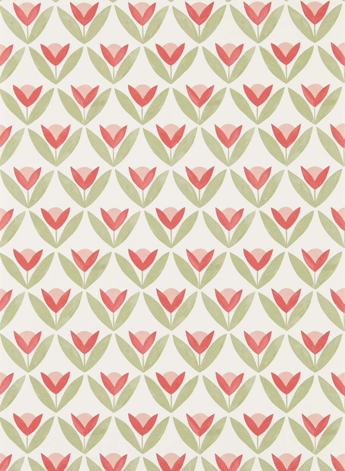 Tapete Tulip Trellis - Berry