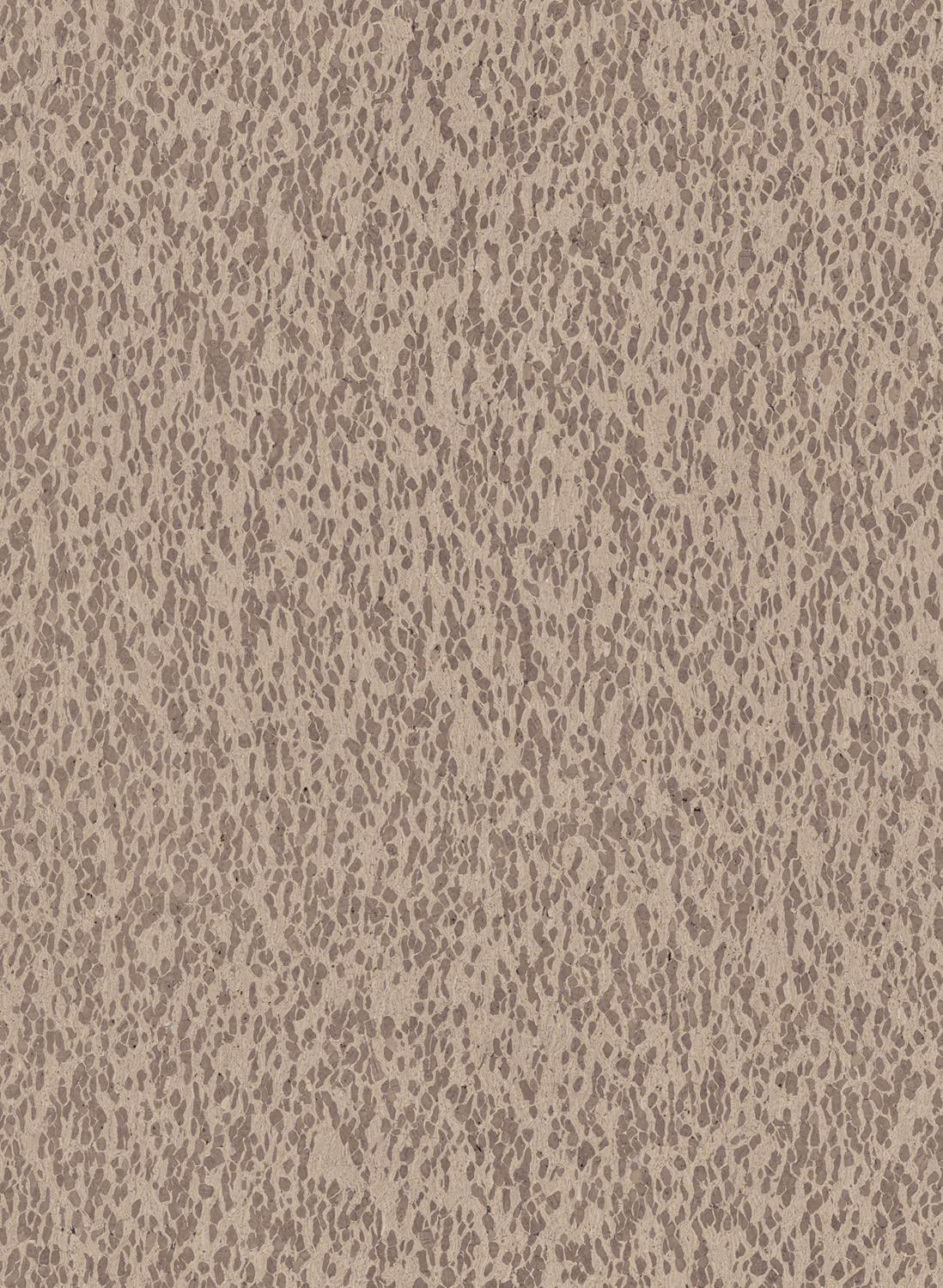 Tapete Motion - CAS31