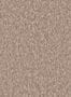 17106_01_Omexco_CAS3_Motion_CAS31-173295