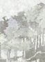 14852_15_Jannelli_and_Volpi_Funes_40303-131985