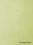 Terrastone-Earth-27-Limone-colour-sample-named-190418