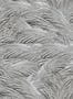 14970_03_Mindthegap_Triflora_WP30169-139850