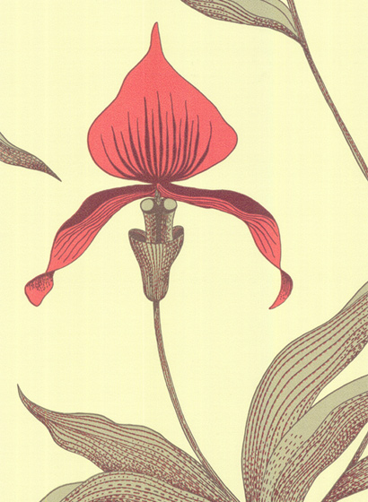 Tapete Orchid - Rouge & Olive Green on Soft Olive